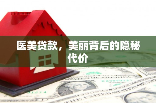 阳山医美贷款，美丽背后的隐秘代价