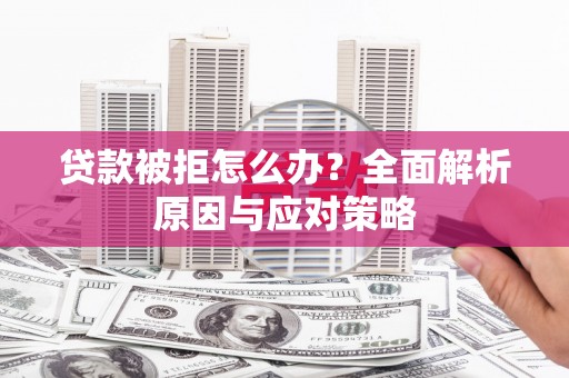 阳山贷款被拒怎么办？全面解析原因与应对策略