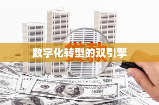 阳山数字化转型的双引擎
