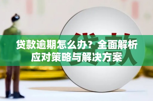 阳山贷款逾期怎么办？全面解析应对策略与解决方案