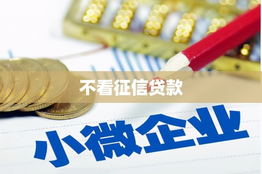 阳山不看征信贷款