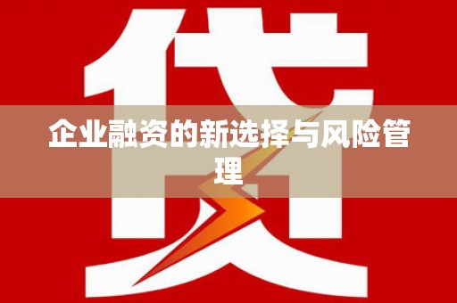 阳山企业融资的新选择与风险管理