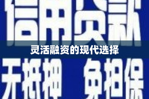 阳山灵活融资的现代选择