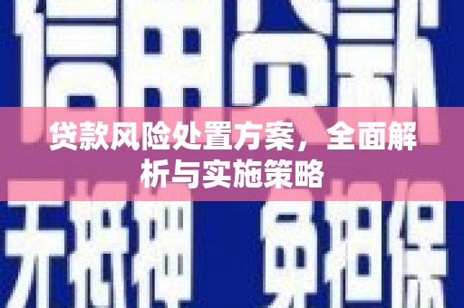 阳山贷款风险处置方案，全面解析与实施策略