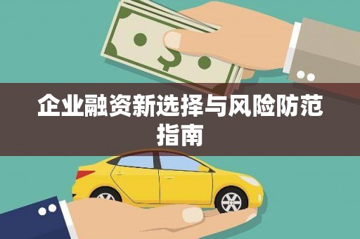 阳山企业融资新选择与风险防范指南