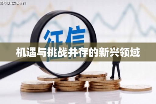 阳山机遇与挑战并存的新兴领域
