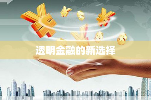 阳山透明金融的新选择