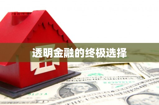 阳山透明金融的终极选择