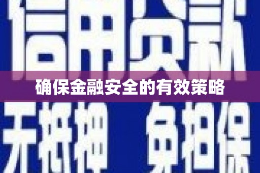 阳山确保金融安全的有效策略