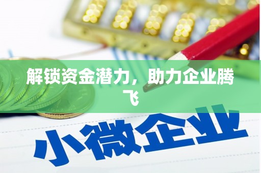 阳山解锁资金潜力，助力企业腾飞