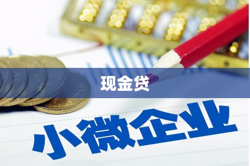 阳山现金贷