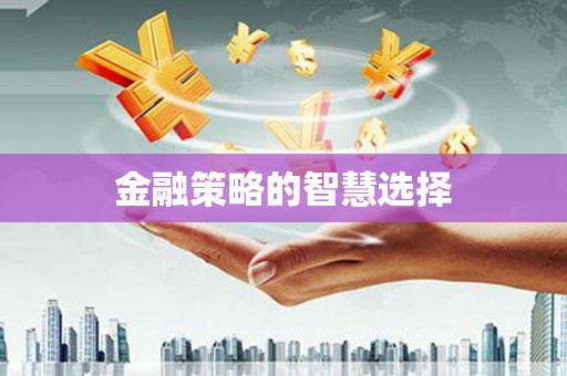 阳山金融策略的智慧选择