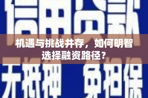 阳山机遇与挑战并存，如何明智选择融资路径？