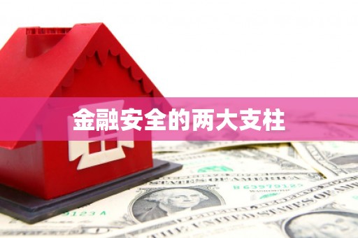 阳山金融安全的两大支柱