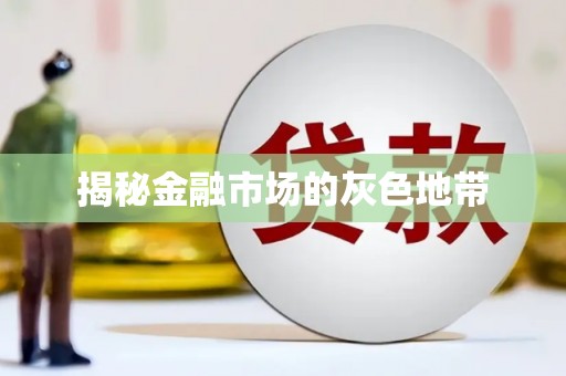 阳山揭秘金融市场的灰色地带