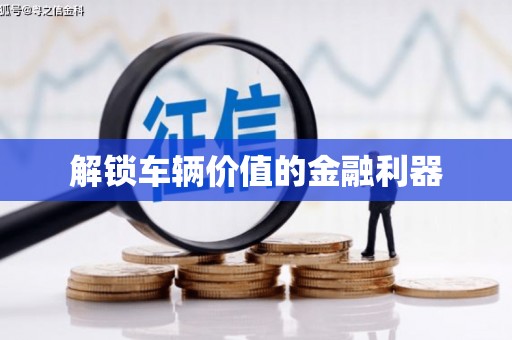 阳山解锁车辆价值的金融利器