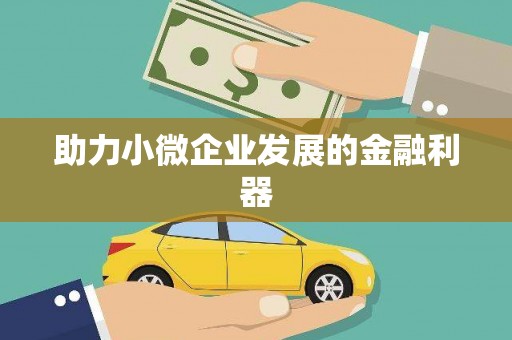 阳山助力小微企业发展的金融利器