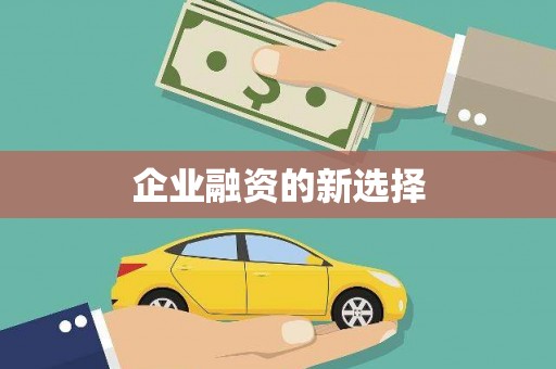 阳山企业融资的新选择