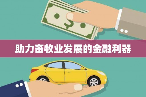 阳山助力畜牧业发展的金融利器