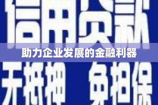阳山助力企业发展的金融利器