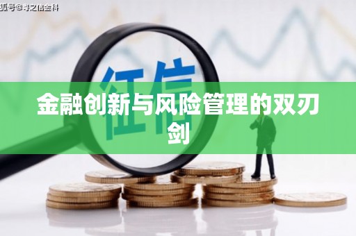 阳山金融创新与风险管理的双刃剑