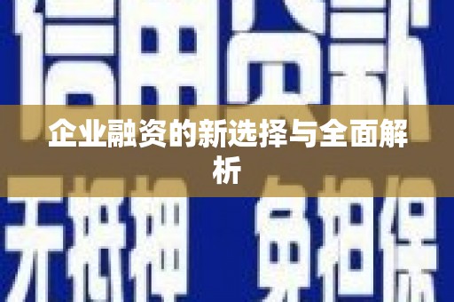 阳山企业融资的新选择与全面解析