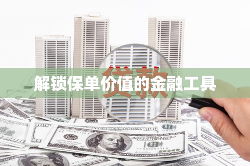 阳山解锁保单价值的金融工具