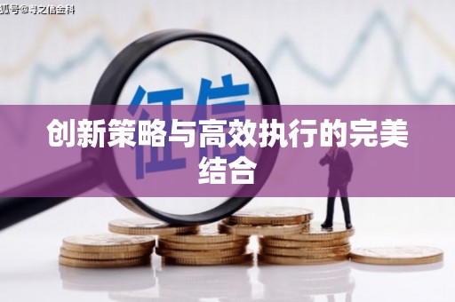 阳山创新策略与高效执行的完美结合
