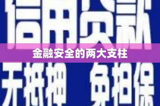 阳山金融安全的两大支柱