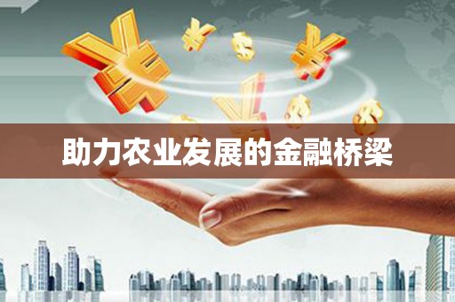 阳山助力农业发展的金融桥梁