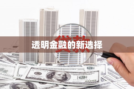 阳山透明金融的新选择