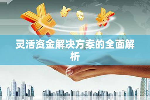 阳山灵活资金解决方案的全面解析