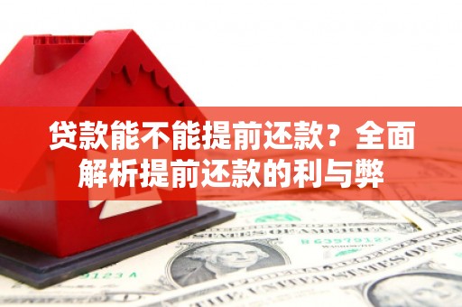 阳山贷款能不能提前还款？全面解析提前还款的利与弊