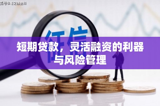 阳山短期贷款，灵活融资的利器与风险管理