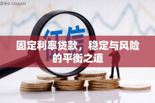 阳山固定利率贷款，稳定与风险的平衡之道