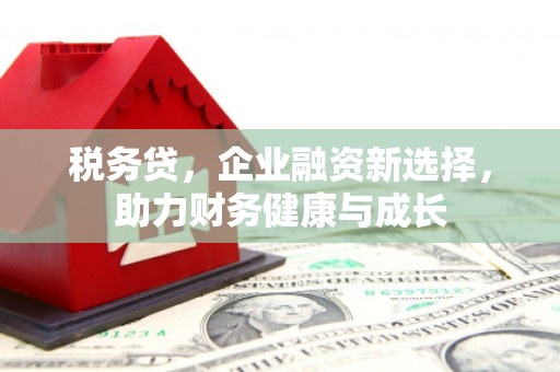 阳山税务贷，企业融资新选择，助力财务健康与成长