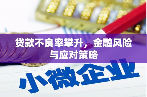 阳山贷款不良率攀升，金融风险与应对策略