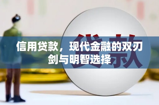 阳山信用贷款，现代金融的双刃剑与明智选择