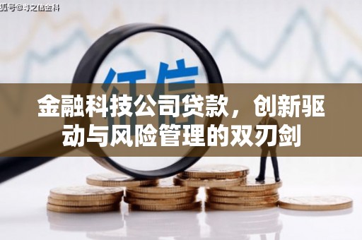 阳山金融科技公司贷款，创新驱动与风险管理的双刃剑