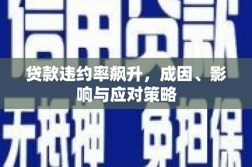 阳山贷款违约率飙升，成因、影响与应对策略